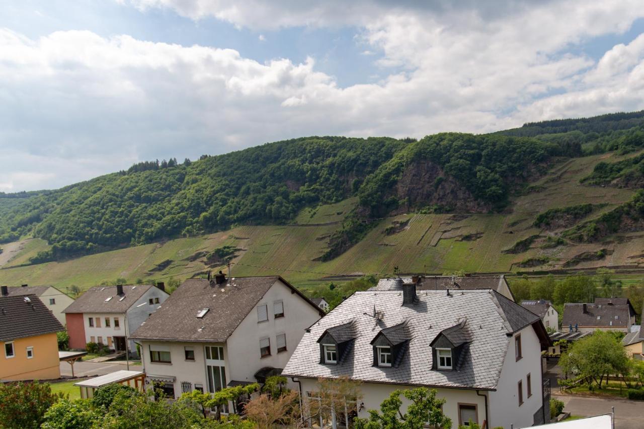 Ferienwohnungen Schorn Burg  Bagian luar foto