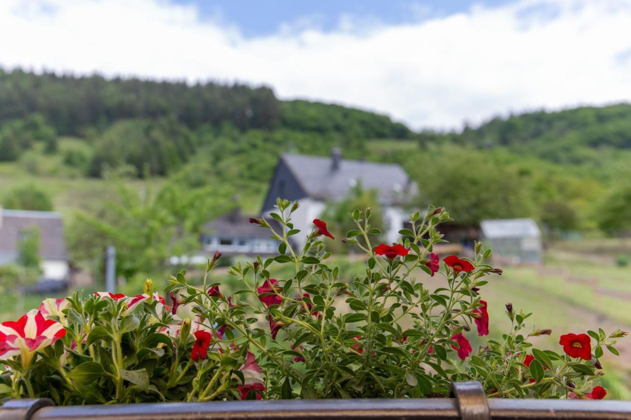 Ferienwohnungen Schorn Burg  Bagian luar foto