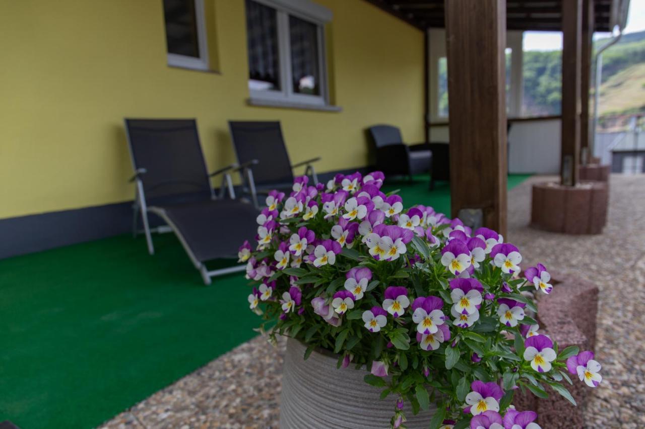 Ferienwohnungen Schorn Burg  Bagian luar foto